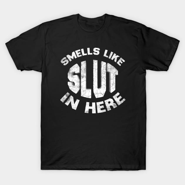 Vintage Smells Like Slut In Here- Funny Offensive T-Shirt by Whimsical Thinker